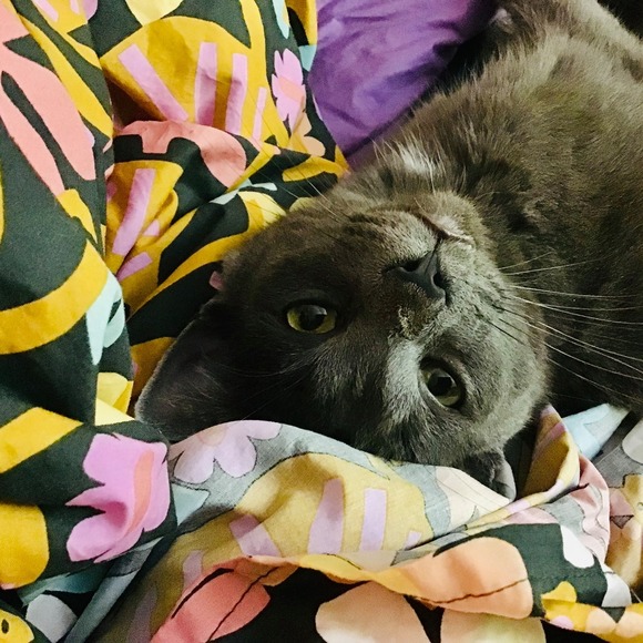 kittt63